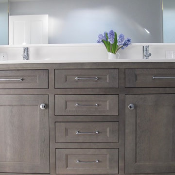 Evanston Masterbath Remodel