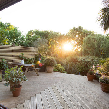 Hillcourt Rd SE22 - kitchen extension