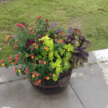 container gardens