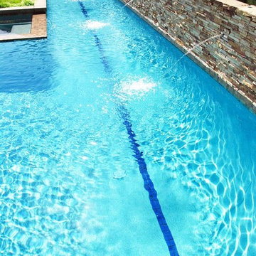 Contemporary Lap Pool