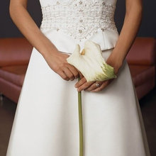 Casablanca 1710,Wedding Dresses