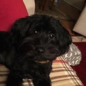 Connie Mcvay's photo