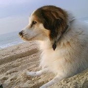 Shirly Rosenberg's photo