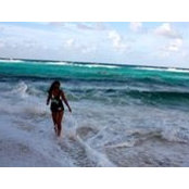 Alexis Hionis's photo