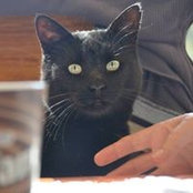 Jeanette Slaney's photo