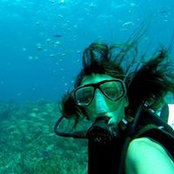 Moira Alari's photo