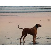 Foto von Gracie Bean