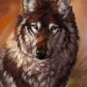 Deborah Swanson's photo
