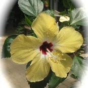Andrea Blaylock's photo