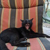 Patty Tweedle's photo