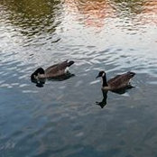 Cicely Acosta's photo