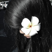 Jocelyn Cheng's photo
