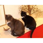 Emma Knightly's photo