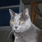 Foto de LB Finley