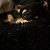 Isaac Wallace's photo