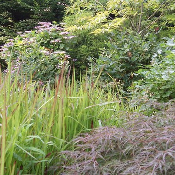 Perennials