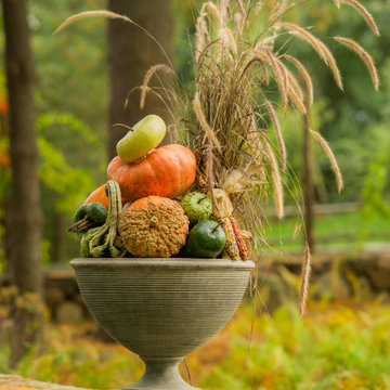 Fall