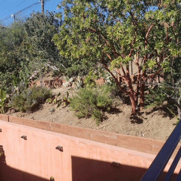 Backyard Renovation | Los Angeles
