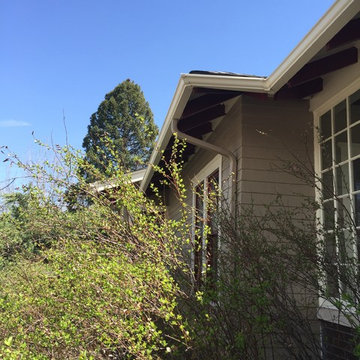Victorian Exterior Paint - Colorado Springs, CO