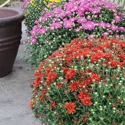 Gallery - Gardening And Lawn Care