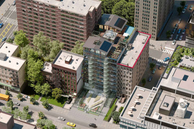 Apartment 11