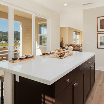 Vineyard Village Model No. 5