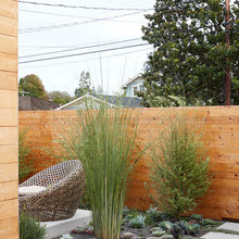 Exterior Ideas
