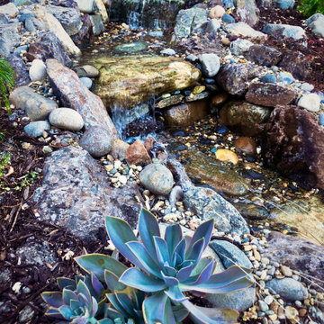 Incredible Award winning Lafeyette Garden