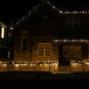 Holiday Lights