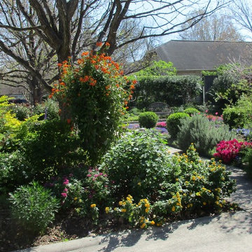 Zero Lawn Xeriscape - Return of the Native