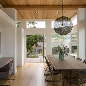 Steve Wisenbaker Architects, Stinson Beach