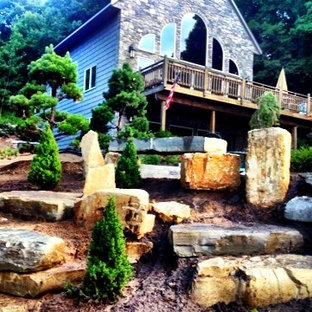 Dwarf Alberta Spruce Landscaping Ideas | Houzz