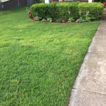 Landscape Creations and Maintenance