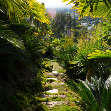 Beverly Hills Residence