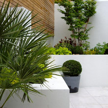 gardens/patios