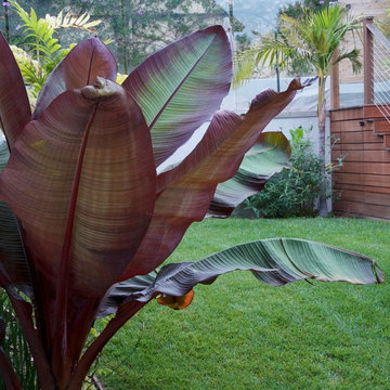 Australia inspired glass pool safety fence.