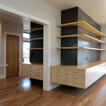 Contemporary House