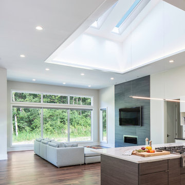 Contemporary modern house