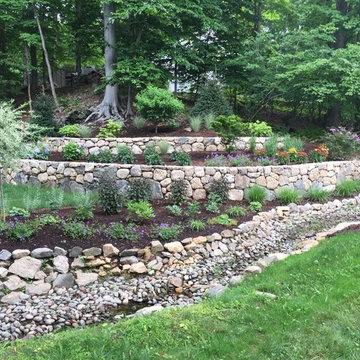 Riparian Stream Restoration : Pound Ridge NY