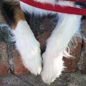 Carla Falconetti's photo