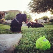 Photo de Kyle Lewis