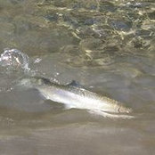 John McKeon's photo