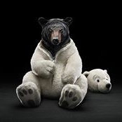 Aleksander Grabe's photo