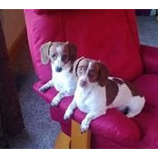 Vicky Hassell's photo