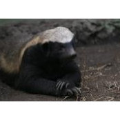 Dean Holden's photo