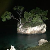 Foto von Marko Jelicic