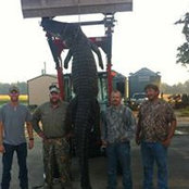 Chad Ditto's photo