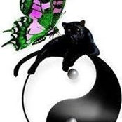 Jeff Lawrence's photo