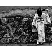 Fern Archさんの写真