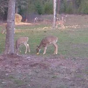 Carolynn Brannan's photo